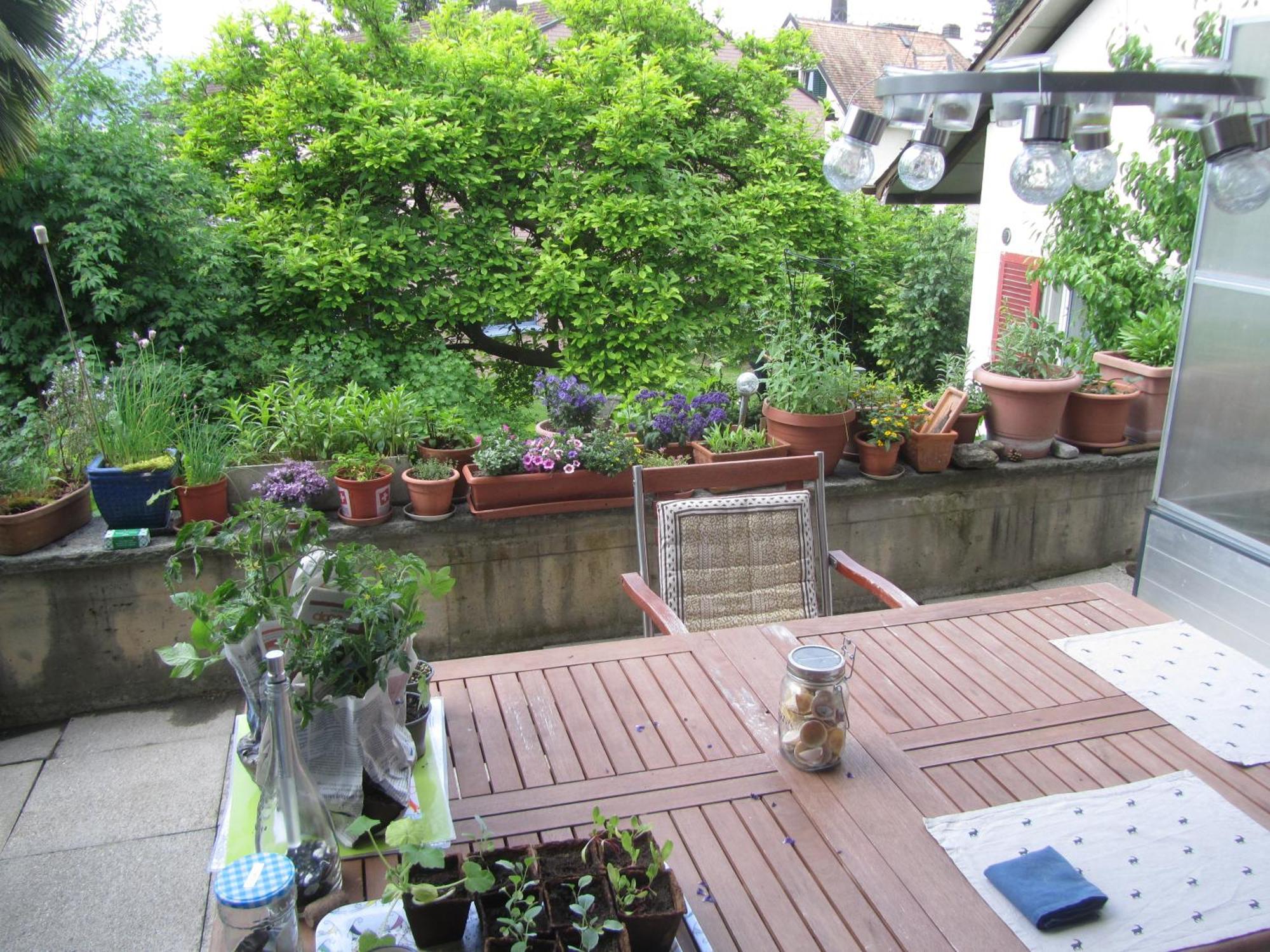 Guest Room Zollikon Zuerich Exterior photo